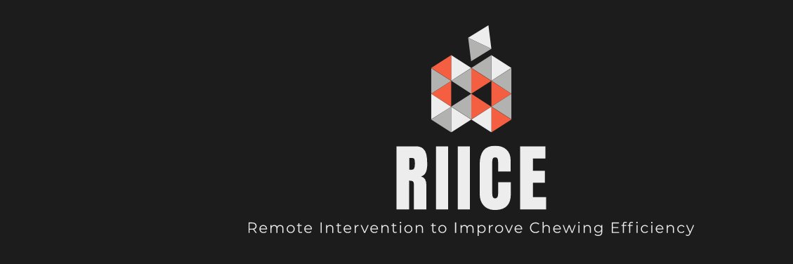 RIICE Project banner