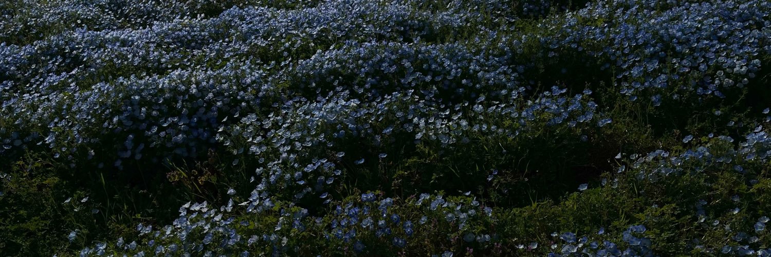 n_jun_tae's profile banner image