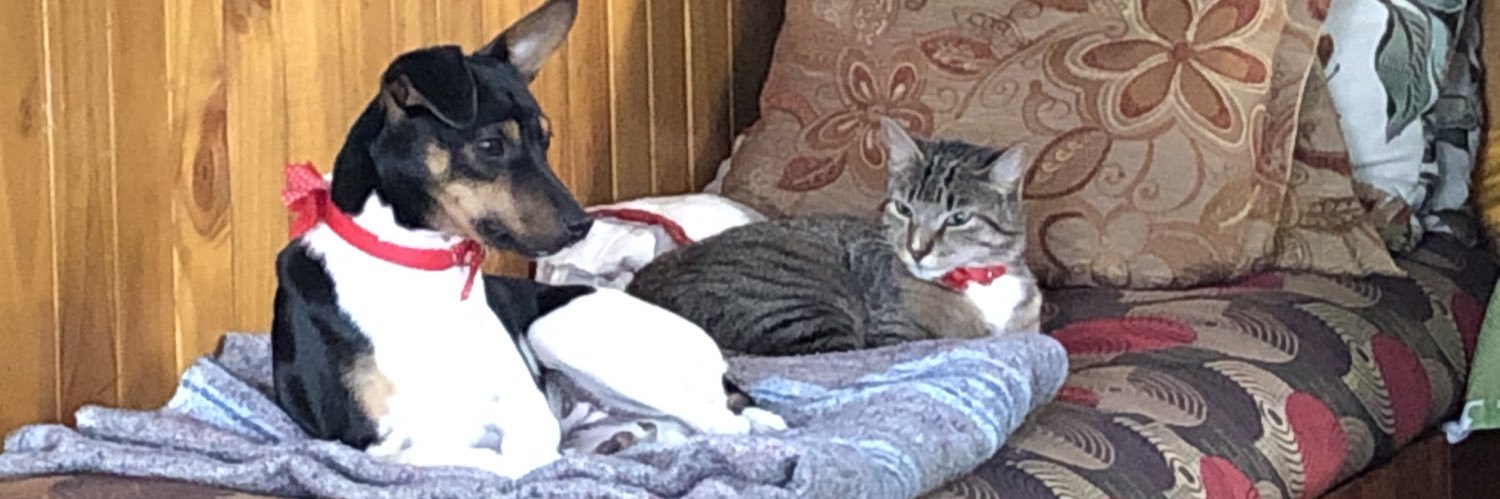 Cristian Muñoz banner