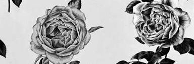 tawan_e's profile banner image