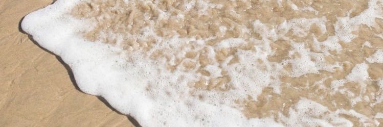 alícia 🦕 banner