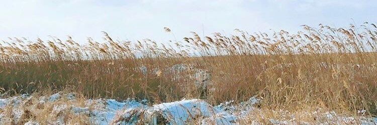 txzexkmeth's profile banner image