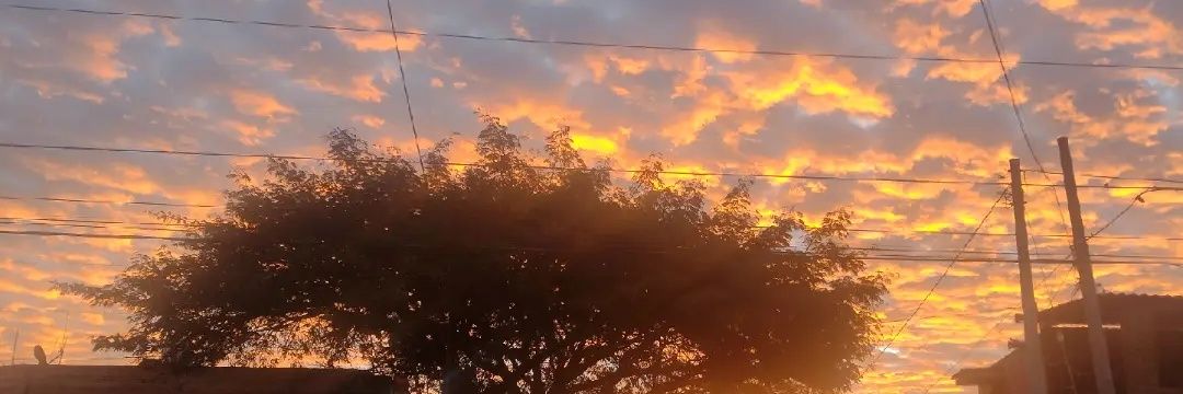 José Ornelas banner