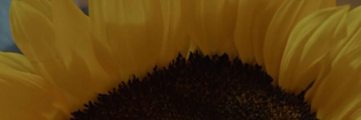 Des_Rosas's profile banner image
