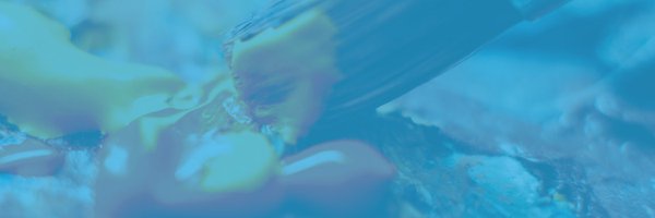 FAH_URJC Profile Banner