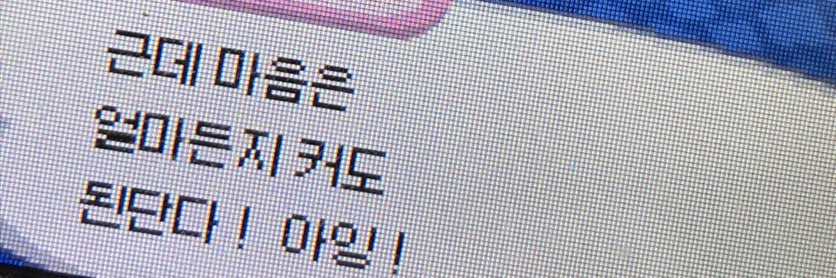 단오 banner
