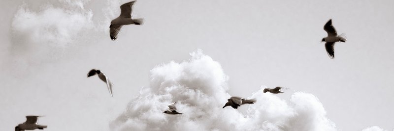 egbertkappert's profile banner image