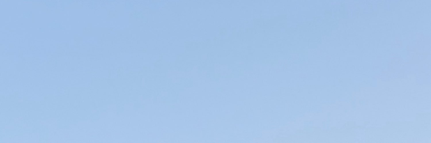 rlo banner