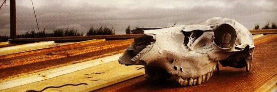 sorry I snapped banner