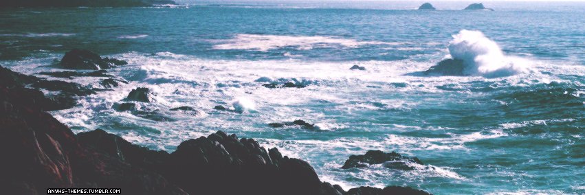 fabiolaastum's profile banner image