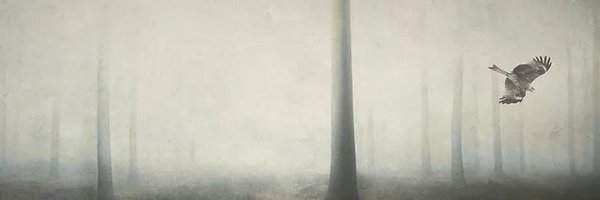 Frightfulhorror Profile Banner