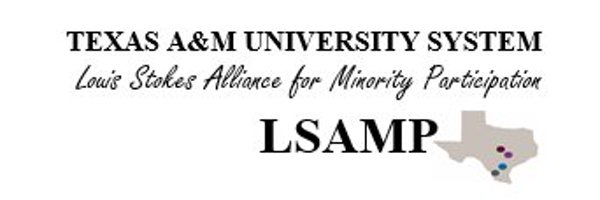 tamuslsamp Profile Banner