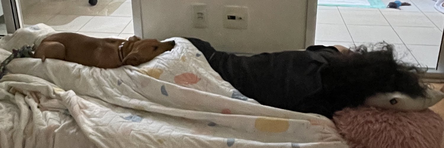 perdi tudo fodase eu banner