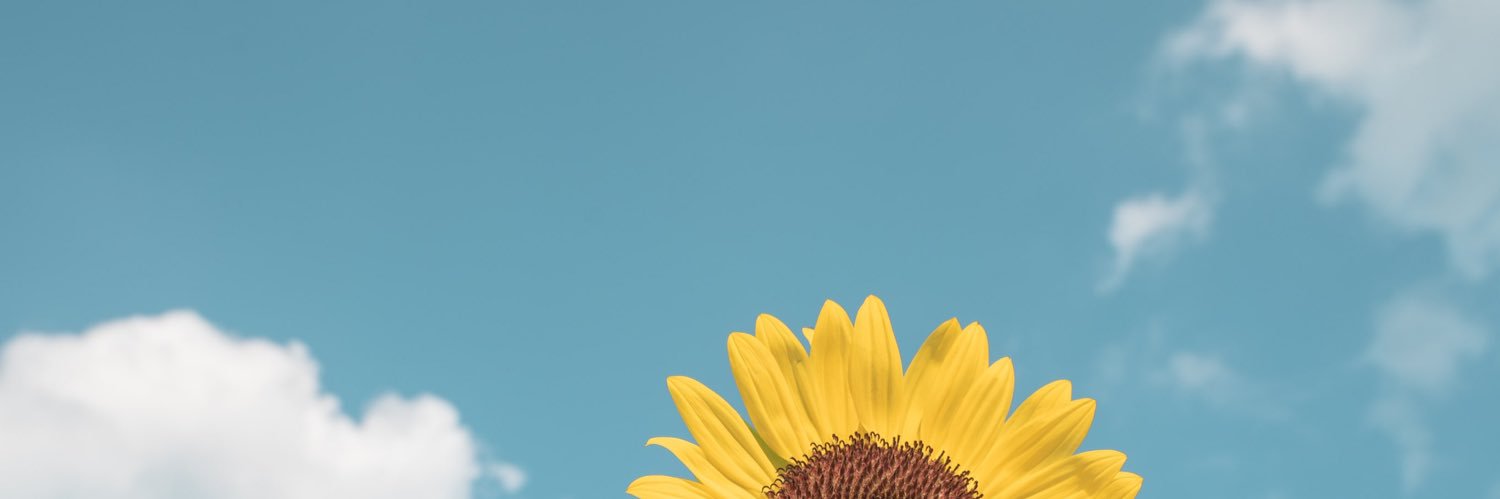 🌻✖️777 banner