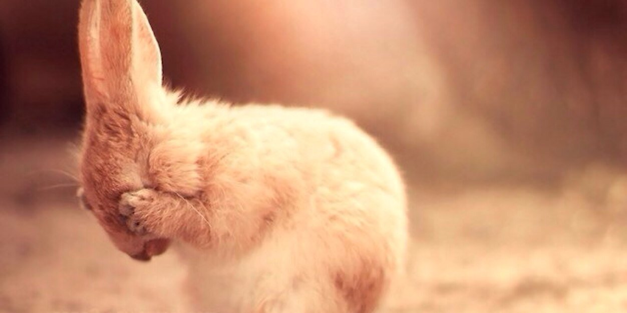 Ps_Sungmin's profile banner image