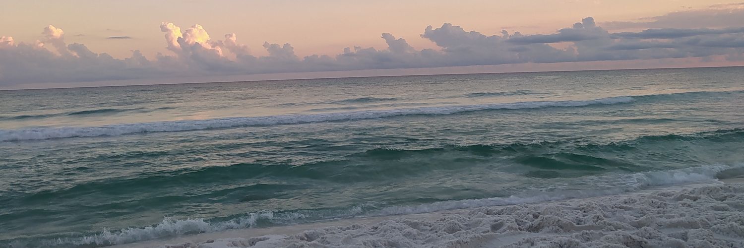 arxzzxa's profile banner image