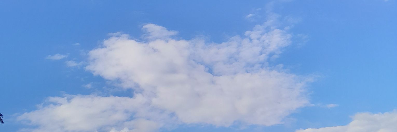 iamblackoasis's profile banner image