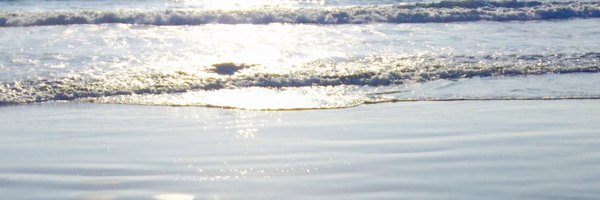 bpsilva Profile Banner