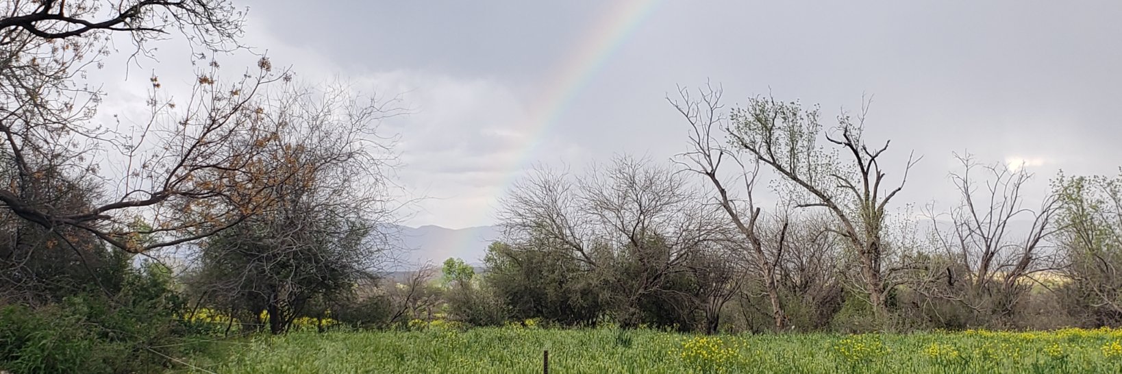 IlseQm's profile banner image
