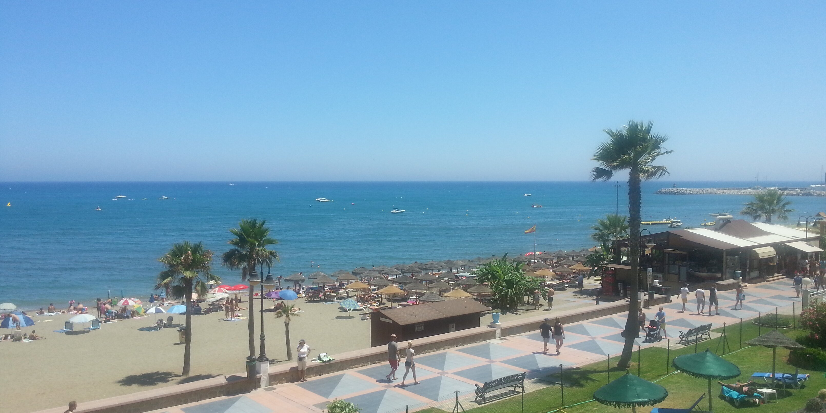 isa ortiz avilés banner