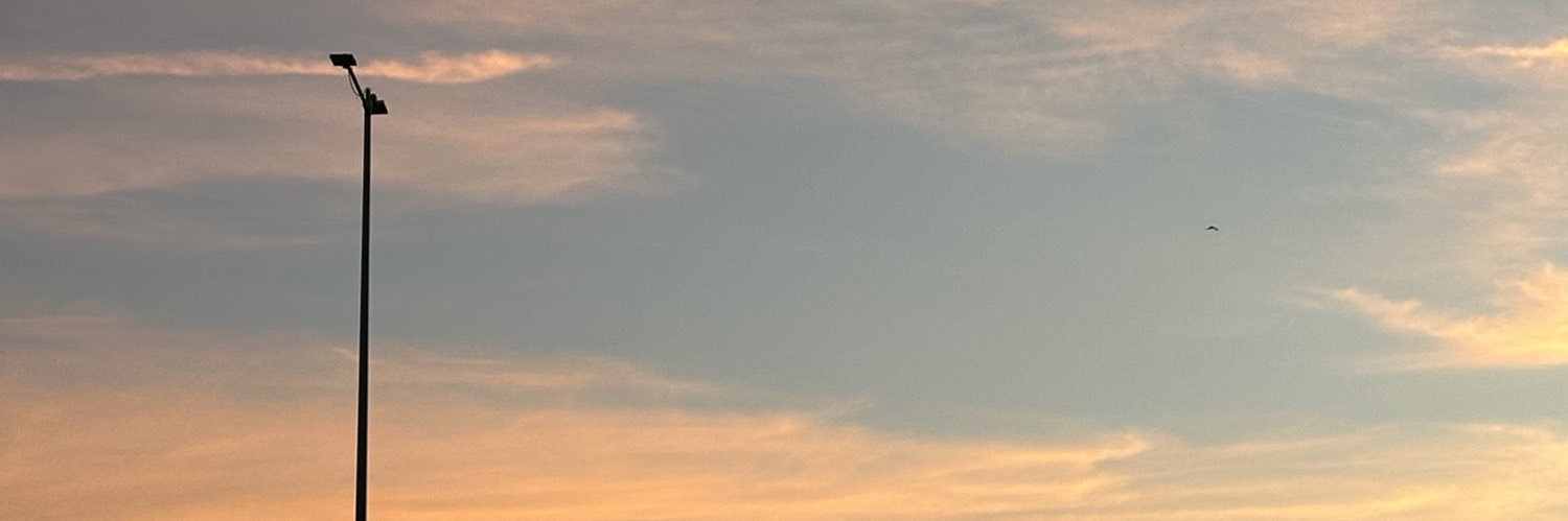 vivs_schulz's profile banner image