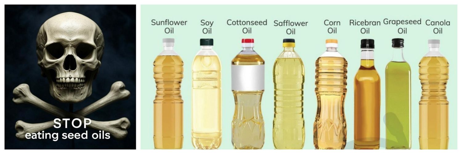 The Dragon Slayers banner