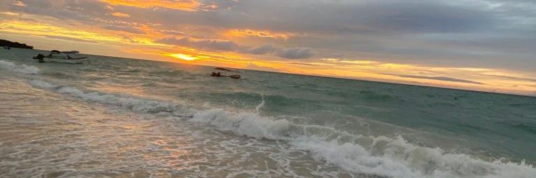 OrdLaura's profile banner image
