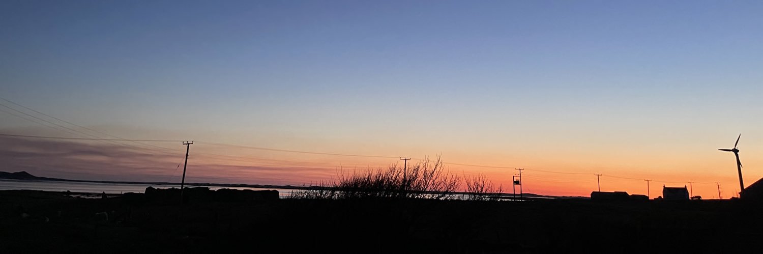 Joan Ferguson banner