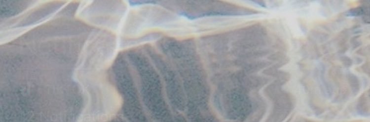 alys_rae98's profile banner image