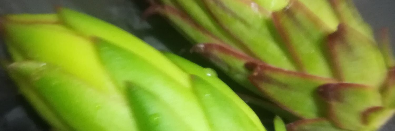 りろ🦭 banner