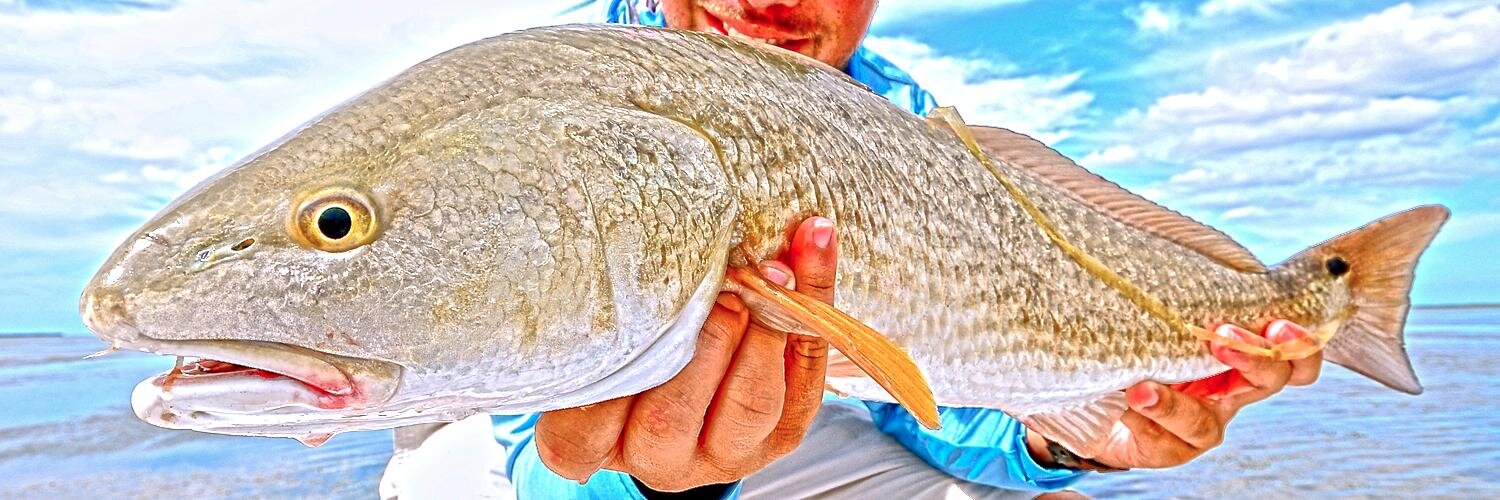 SUPfishing's profile banner image