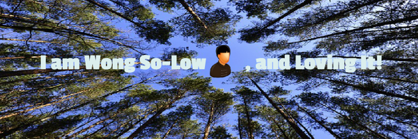 wong_solow Profile Banner