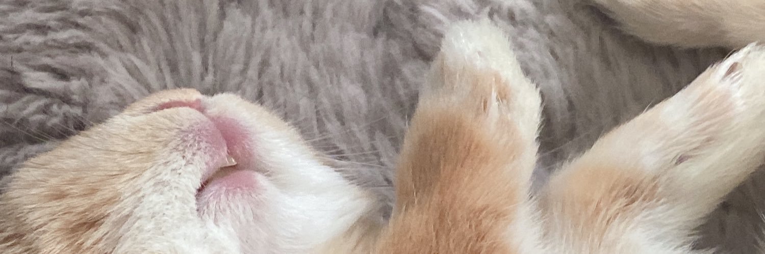 ___ku_ra_83's profile banner image