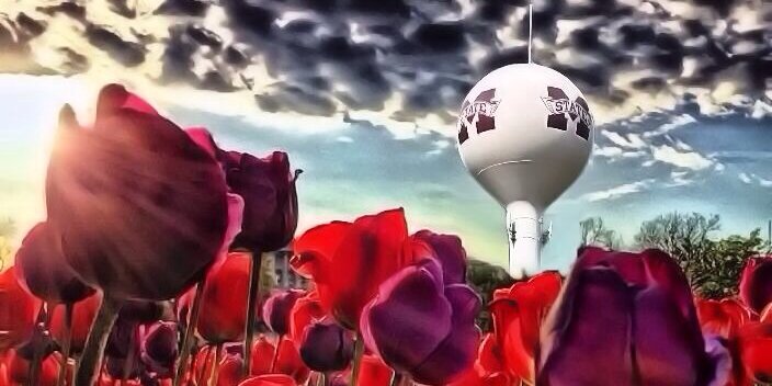 HailStateEdits's profile banner image