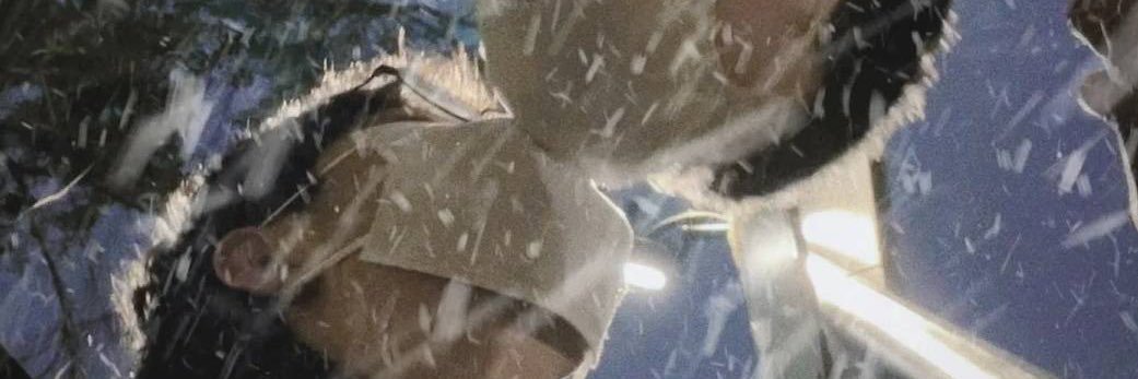 Hol1and0's profile banner image