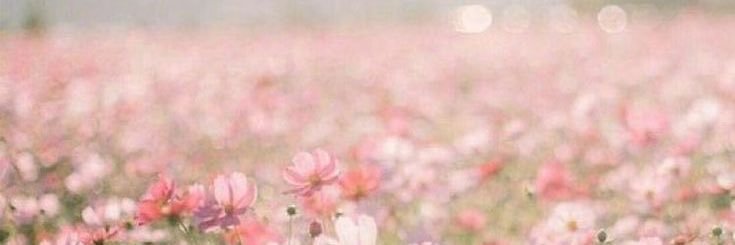 MM_sharing's profile banner image
