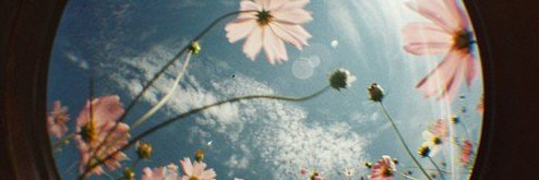 ThaynaAlenc's profile banner image