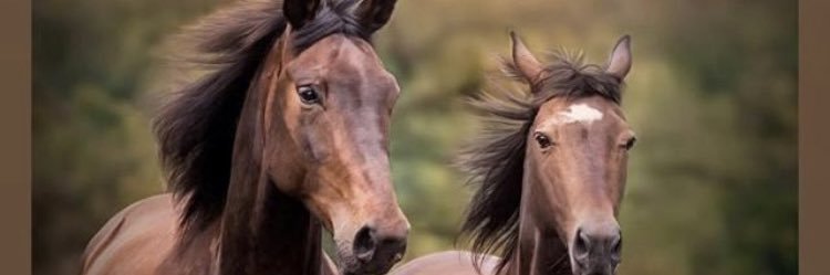 meask1434's profile banner image