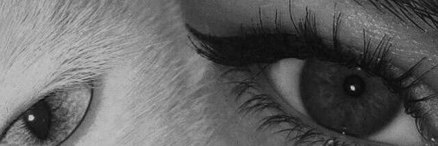 aybalam77's profile banner image