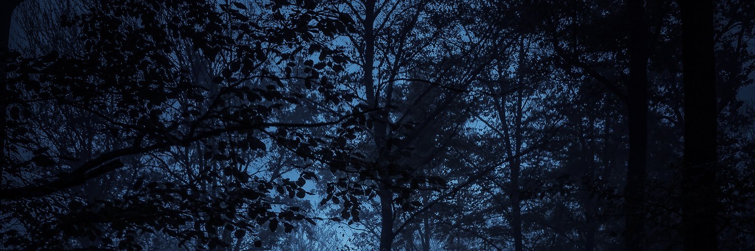 nekslade's profile banner image