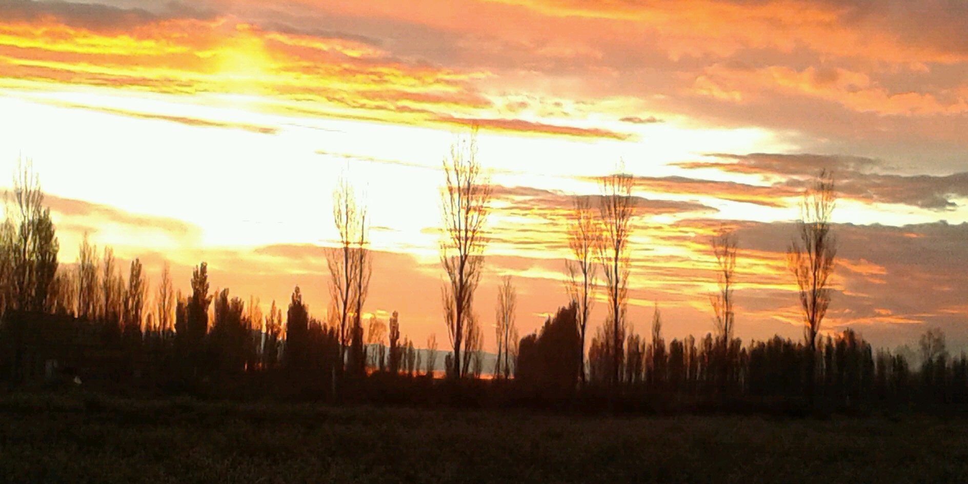 estelaqueopan's profile banner image