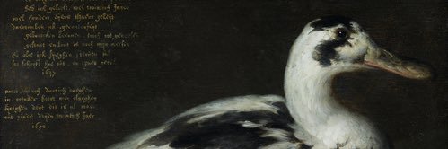 Louise Morfouace banner