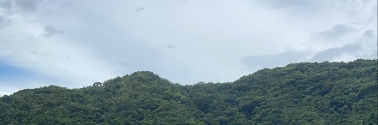 alimamendonca's profile banner image