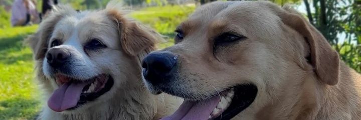 NeriSendon15's profile banner image