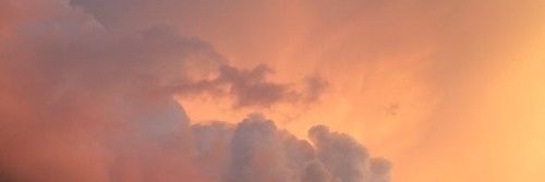 arurariru_'s profile banner image