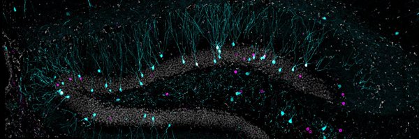 miguelfr92 Profile Banner