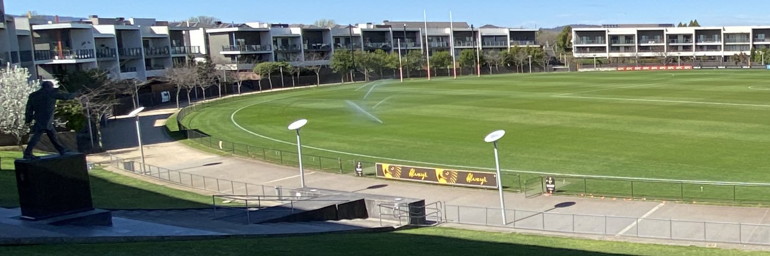 🟡Up the Mighty Hawk🟤 banner