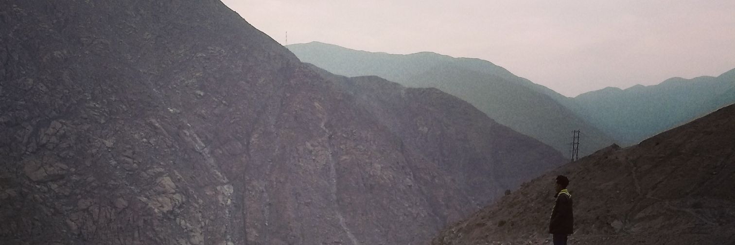 PatasDePez's profile banner image