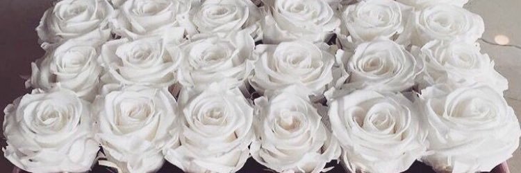 Neneee__'s profile banner image