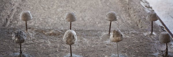 Zarychta_P Profile Banner